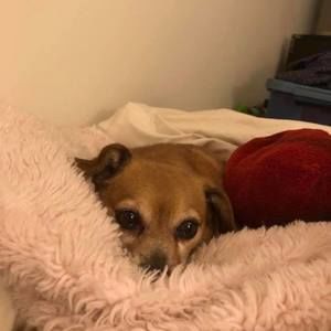 Meet your Posher, Wendy